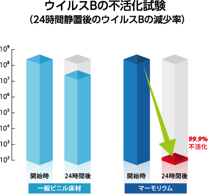 ウイルスBの不活化試験